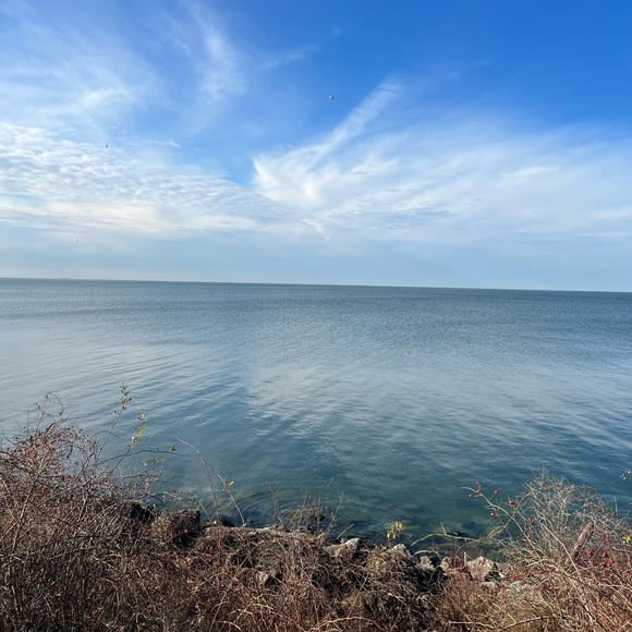 LIVE SHOW NOTIFICATION 📢 - Picture 10 of 12